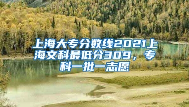 上海大专分数线2021上海文科最低分309，专科一批一志愿