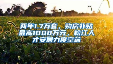 两年1.7万套，购房补贴最高1000万元，松江人才安居力度空前