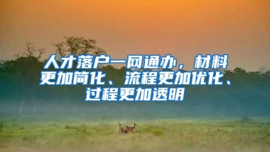 人才落户一网通办，材料更加简化、流程更加优化、过程更加透明