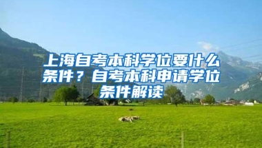 上海自考本科学位要什么条件？自考本科申请学位条件解读