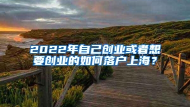 2022年自己创业或者想要创业的如何落户上海？