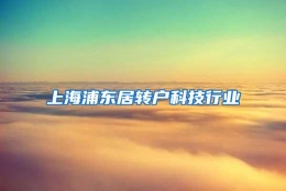 上海浦东居转户科技行业