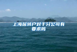 上海居转户对于分公司有要求吗