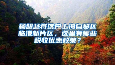 杨超越将落户上海自贸区临港新片区，这里有哪些税收优惠政策？