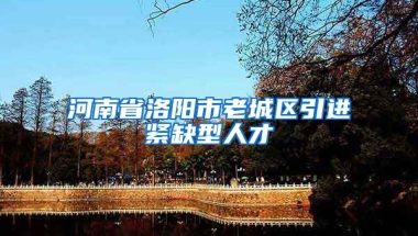 河南省洛阳市老城区引进紧缺型人才