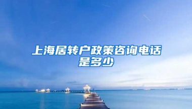 上海居转户政策咨询电话是多少