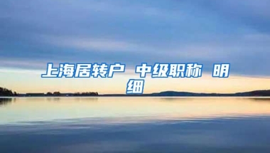 上海居转户 中级职称 明细