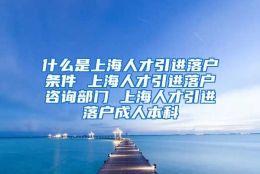 什么是上海人才引进落户条件 上海人才引进落户咨询部门 上海人才引进落户成人本科