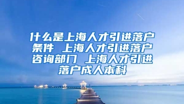 什么是上海人才引进落户条件 上海人才引进落户咨询部门 上海人才引进落户成人本科