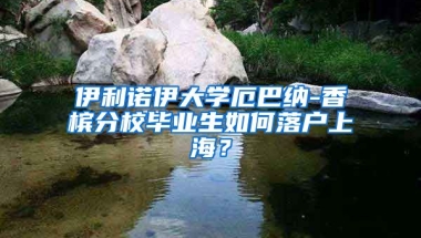 伊利诺伊大学厄巴纳-香槟分校毕业生如何落户上海？