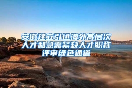 安徽建立引进海外高层次人才和急需紧缺人才职称评审绿色通道