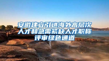 安徽建立引进海外高层次人才和急需紧缺人才职称评审绿色通道