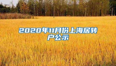 2020年11月份上海居转户公示