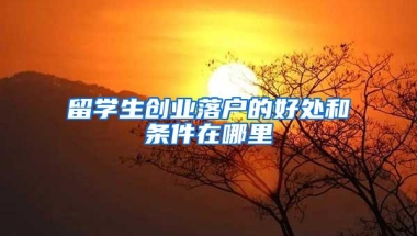 留学生创业落户的好处和条件在哪里