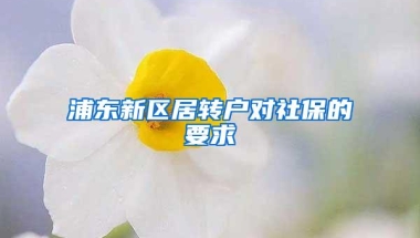 浦东新区居转户对社保的要求