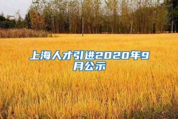 上海人才引进2020年9月公示