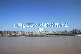 上海g60人才积分有什么用