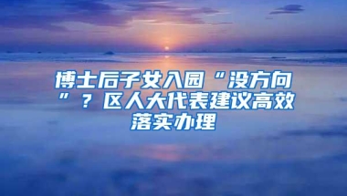 博士后子女入园“没方向”？区人大代表建议高效落实办理