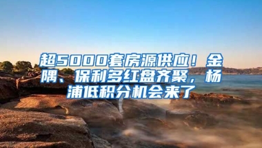 超5000套房源供应！金隅、保利多红盘齐聚，杨浦低积分机会来了