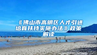 《佛山市高明区人才引进培育扶持实施办法》政策解读