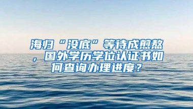 海归“没底”等待成煎熬，国外学历学位认证书如何查询办理进度？