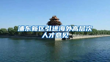 浦东新区引进海外高层次人才意见