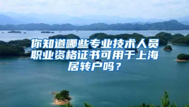 你知道哪些专业技术人员职业资格证书可用于上海居转户吗？