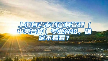 上海自考专科商务管理（中英合作）专业介绍，确定不看看？