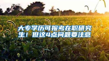 大专学历可报考在职研究生！但这4点问题要注意