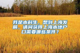 我是本科生，想到上海发展，请问获得上海本地户口需要哪些条件？