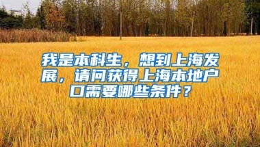 我是本科生，想到上海发展，请问获得上海本地户口需要哪些条件？