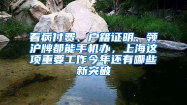 看病付费、户籍证明、领沪牌都能手机办，上海这项重要工作今年还有哪些新突破