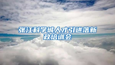 张江科学城人才引进落新政培训会