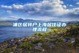 浦区居转户上海居住证办理流程