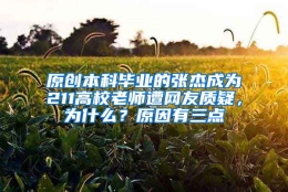 原创本科毕业的张杰成为211高校老师遭网友质疑，为什么？原因有三点