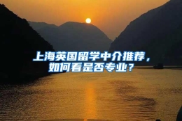 上海英国留学中介推荐，如何看是否专业？