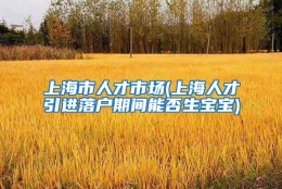 上海市人才市场(上海人才引进落户期间能否生宝宝)