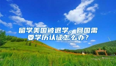 留学美国被退学，回国需要学历认证怎么办？