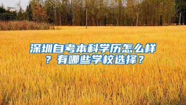 深圳自考本科学历怎么样？有哪些学校选择？