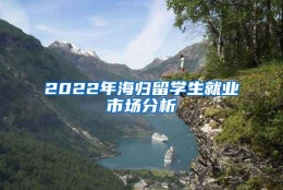 2022年海归留学生就业市场分析