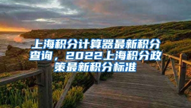 上海积分计算器最新积分查询，2022上海积分政策最新积分标准