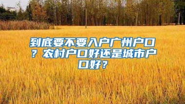 到底要不要入户广州户口？农村户口好还是城市户口好？