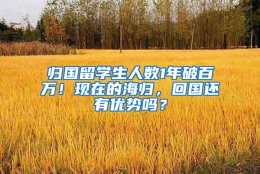 归国留学生人数1年破百万！现在的海归，回国还有优势吗？