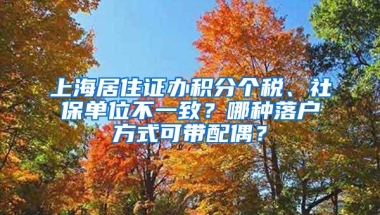 上海居住证办积分个税、社保单位不一致？哪种落户方式可带配偶？