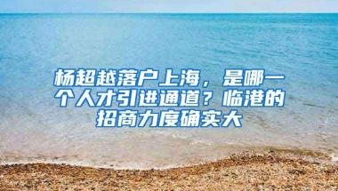 杨超越落户上海，是哪一个人才引进通道？临港的招商力度确实大