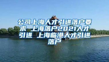 公司上海人才引进落户要求 上海落户2021人才引进 上海临港人才引进落户