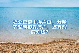 老公已是上海户口，我除了配偶投靠落户，还有别的办法？