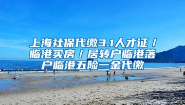 上海社保代缴3.1人才证／临港买房／居转户临港落户临港五险一金代缴