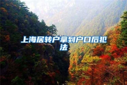 上海居转户拿到户口后犯法