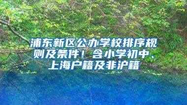 浦东新区公办学校排序规则及条件！含小学初中、上海户籍及非沪籍